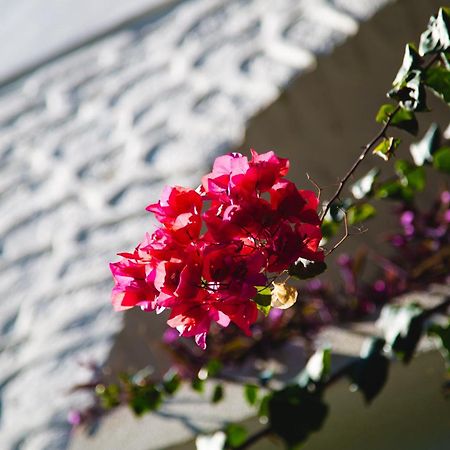 Hotel Karia Princess Bodrum Zewnętrze zdjęcie