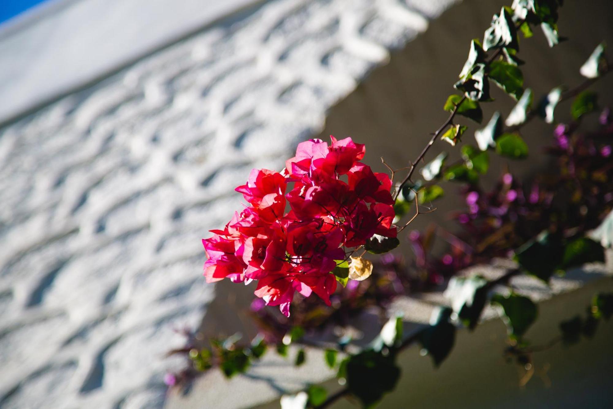 Hotel Karia Princess Bodrum Zewnętrze zdjęcie