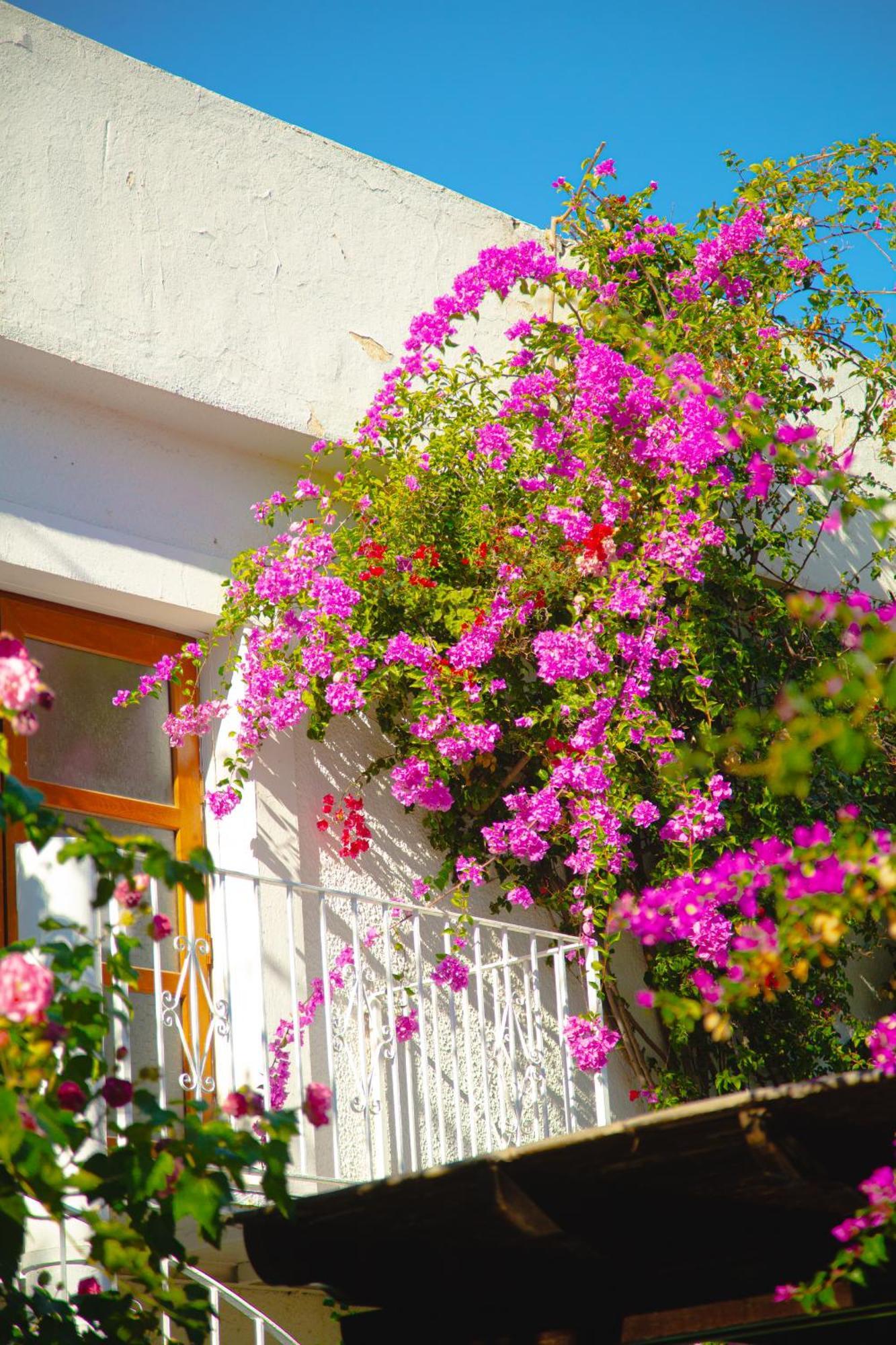 Hotel Karia Princess Bodrum Zewnętrze zdjęcie